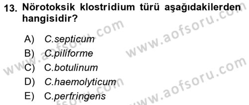 Veteriner Mikrobiyoloji ve Epidemiyoloji Dersi 2018 - 2019 Yılı Yaz Okulu Sınavı 13. Soru