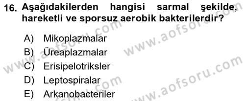 Veteriner Mikrobiyoloji ve Epidemiyoloji Dersi 2018 - 2019 Yılı Yaz Okulu Sınav Soruları 16. Soru