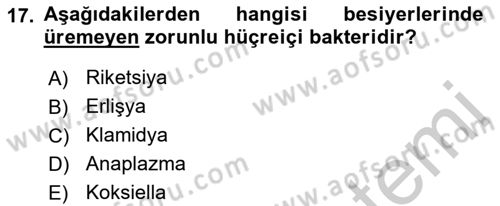 Veteriner Mikrobiyoloji ve Epidemiyoloji Dersi 2018 - 2019 Yılı Yaz Okulu Sınav Soruları 17. Soru