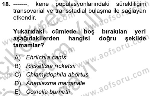 Veteriner Mikrobiyoloji ve Epidemiyoloji Dersi 2018 - 2019 Yılı Yaz Okulu Sınav Soruları 18. Soru