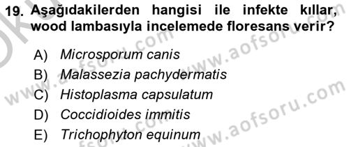 Veteriner Mikrobiyoloji ve Epidemiyoloji Dersi 2018 - 2019 Yılı Yaz Okulu Sınavı 19. Soru