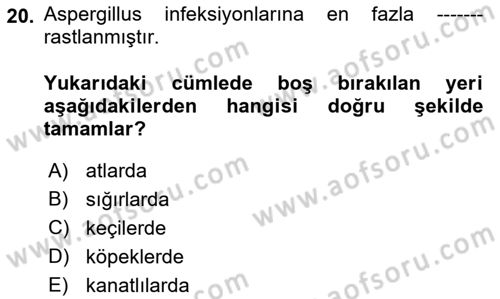 Veteriner Mikrobiyoloji ve Epidemiyoloji Dersi 2018 - 2019 Yılı Yaz Okulu Sınavı 20. Soru