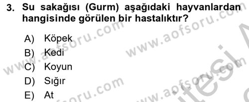 Veteriner Mikrobiyoloji ve Epidemiyoloji Dersi 2018 - 2019 Yılı Yaz Okulu Sınavı 3. Soru