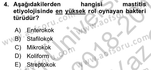 Veteriner Mikrobiyoloji ve Epidemiyoloji Dersi 2018 - 2019 Yılı Yaz Okulu Sınav Soruları 4. Soru