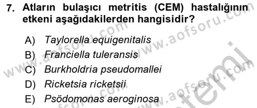 Veteriner Mikrobiyoloji ve Epidemiyoloji Dersi 2018 - 2019 Yılı Yaz Okulu Sınav Soruları 7. Soru