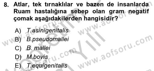 Veteriner Mikrobiyoloji ve Epidemiyoloji Dersi 2018 - 2019 Yılı Yaz Okulu Sınav Soruları 8. Soru