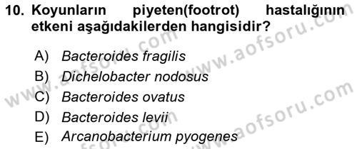 Veteriner Mikrobiyoloji ve Epidemiyoloji Dersi 2019 - 2020 Yılı (Final) Dönem Sonu Sınavı 10. Soru