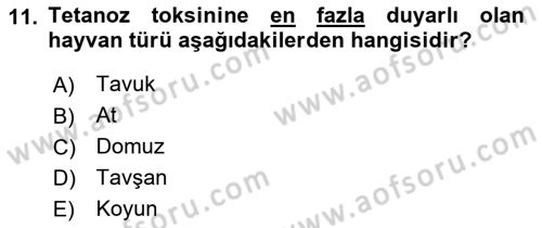 Veteriner Mikrobiyoloji ve Epidemiyoloji Dersi 2019 - 2020 Yılı (Final) Dönem Sonu Sınav Soruları 11. Soru