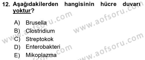 Veteriner Mikrobiyoloji ve Epidemiyoloji Dersi 2019 - 2020 Yılı (Final) Dönem Sonu Sınav Soruları 12. Soru