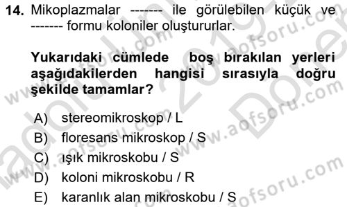 Veteriner Mikrobiyoloji ve Epidemiyoloji Dersi 2019 - 2020 Yılı (Final) Dönem Sonu Sınav Soruları 14. Soru