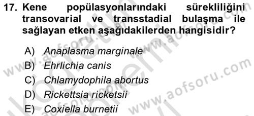 Veteriner Mikrobiyoloji ve Epidemiyoloji Dersi 2019 - 2020 Yılı (Final) Dönem Sonu Sınav Soruları 17. Soru