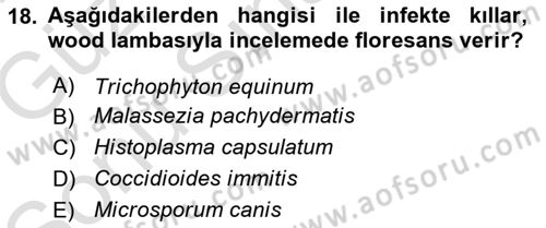 Veteriner Mikrobiyoloji ve Epidemiyoloji Dersi 2019 - 2020 Yılı (Final) Dönem Sonu Sınavı 18. Soru