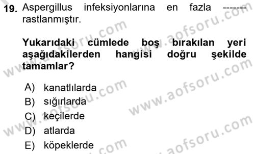 Veteriner Mikrobiyoloji ve Epidemiyoloji Dersi 2019 - 2020 Yılı (Final) Dönem Sonu Sınav Soruları 19. Soru