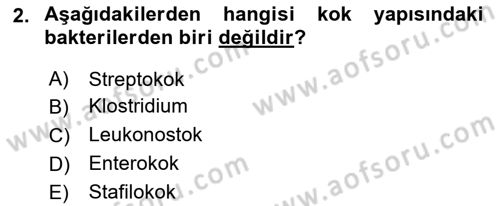 Veteriner Mikrobiyoloji ve Epidemiyoloji Dersi 2019 - 2020 Yılı (Final) Dönem Sonu Sınav Soruları 2. Soru
