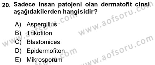 Veteriner Mikrobiyoloji ve Epidemiyoloji Dersi 2019 - 2020 Yılı (Final) Dönem Sonu Sınav Soruları 20. Soru
