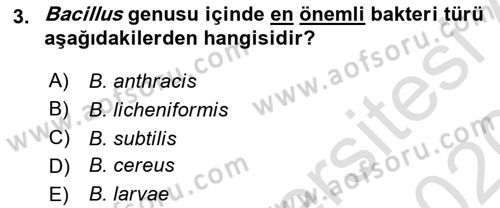 Veteriner Mikrobiyoloji ve Epidemiyoloji Dersi 2019 - 2020 Yılı (Final) Dönem Sonu Sınav Soruları 3. Soru