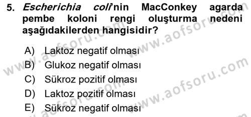 Veteriner Mikrobiyoloji ve Epidemiyoloji Dersi 2019 - 2020 Yılı (Final) Dönem Sonu Sınav Soruları 5. Soru