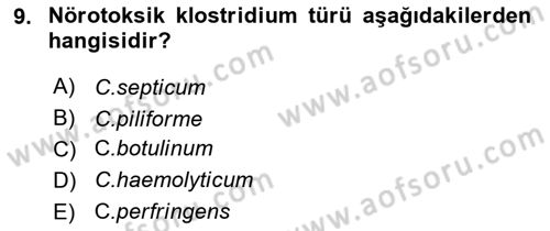 Veteriner Mikrobiyoloji ve Epidemiyoloji Dersi 2019 - 2020 Yılı (Final) Dönem Sonu Sınavı 9. Soru