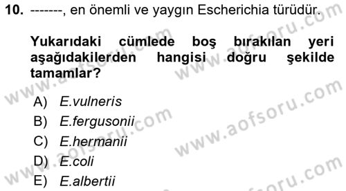 Veteriner Mikrobiyoloji ve Epidemiyoloji Dersi 2020 - 2021 Yılı Yaz Okulu Sınav Soruları 10. Soru