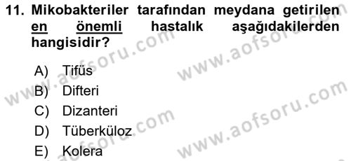 Veteriner Mikrobiyoloji ve Epidemiyoloji Dersi 2020 - 2021 Yılı Yaz Okulu Sınav Soruları 11. Soru