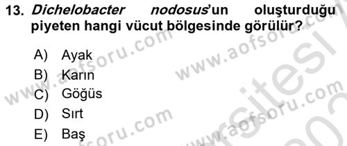 Veteriner Mikrobiyoloji ve Epidemiyoloji Dersi 2020 - 2021 Yılı Yaz Okulu Sınav Soruları 13. Soru