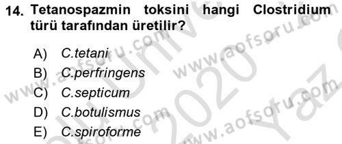 Veteriner Mikrobiyoloji ve Epidemiyoloji Dersi 2020 - 2021 Yılı Yaz Okulu Sınav Soruları 14. Soru