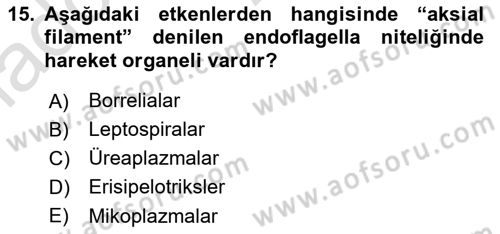 Veteriner Mikrobiyoloji ve Epidemiyoloji Dersi 2020 - 2021 Yılı Yaz Okulu Sınav Soruları 15. Soru