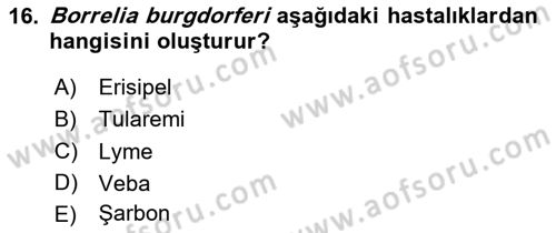 Veteriner Mikrobiyoloji ve Epidemiyoloji Dersi 2020 - 2021 Yılı Yaz Okulu Sınav Soruları 16. Soru