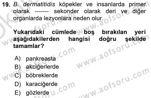 Veteriner Mikrobiyoloji ve Epidemiyoloji Dersi 2020 - 2021 Yılı Yaz Okulu Sınav Soruları 19. Soru