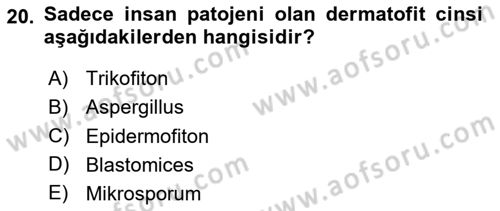 Veteriner Mikrobiyoloji ve Epidemiyoloji Dersi 2020 - 2021 Yılı Yaz Okulu Sınav Soruları 20. Soru