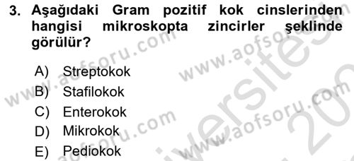 Veteriner Mikrobiyoloji ve Epidemiyoloji Dersi 2020 - 2021 Yılı Yaz Okulu Sınav Soruları 3. Soru