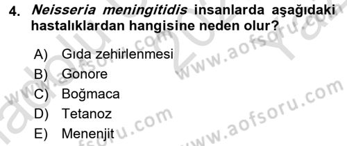 Veteriner Mikrobiyoloji ve Epidemiyoloji Dersi 2020 - 2021 Yılı Yaz Okulu Sınav Soruları 4. Soru