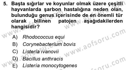 Veteriner Mikrobiyoloji ve Epidemiyoloji Dersi 2020 - 2021 Yılı Yaz Okulu Sınav Soruları 5. Soru
