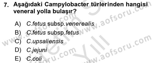 Veteriner Mikrobiyoloji ve Epidemiyoloji Dersi 2020 - 2021 Yılı Yaz Okulu Sınav Soruları 7. Soru
