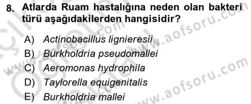 Veteriner Mikrobiyoloji ve Epidemiyoloji Dersi 2020 - 2021 Yılı Yaz Okulu Sınav Soruları 8. Soru