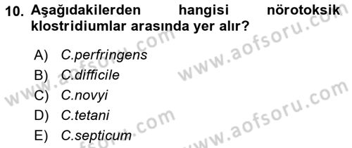 Veteriner Mikrobiyoloji ve Epidemiyoloji Dersi 2021 - 2022 Yılı (Final) Dönem Sonu Sınavı 10. Soru