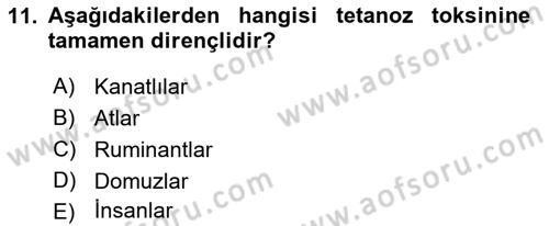 Veteriner Mikrobiyoloji ve Epidemiyoloji Dersi 2021 - 2022 Yılı (Final) Dönem Sonu Sınav Soruları 11. Soru