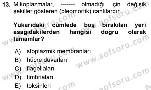 Veteriner Mikrobiyoloji ve Epidemiyoloji Dersi 2021 - 2022 Yılı (Final) Dönem Sonu Sınav Soruları 13. Soru