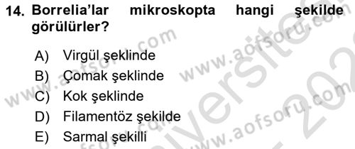 Veteriner Mikrobiyoloji ve Epidemiyoloji Dersi 2021 - 2022 Yılı (Final) Dönem Sonu Sınav Soruları 14. Soru