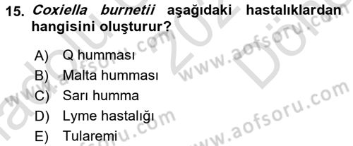 Veteriner Mikrobiyoloji ve Epidemiyoloji Dersi 2021 - 2022 Yılı (Final) Dönem Sonu Sınavı 15. Soru