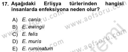 Veteriner Mikrobiyoloji ve Epidemiyoloji Dersi 2021 - 2022 Yılı (Final) Dönem Sonu Sınavı 17. Soru