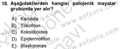 Veteriner Mikrobiyoloji ve Epidemiyoloji Dersi 2021 - 2022 Yılı (Final) Dönem Sonu Sınavı 18. Soru