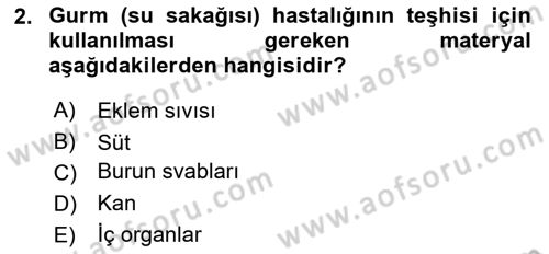 Veteriner Mikrobiyoloji ve Epidemiyoloji Dersi 2021 - 2022 Yılı (Final) Dönem Sonu Sınavı 2. Soru