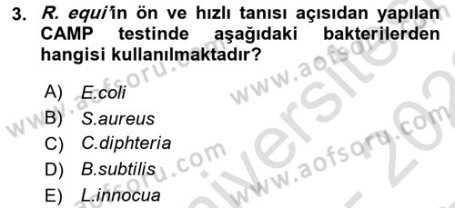 Veteriner Mikrobiyoloji ve Epidemiyoloji Dersi 2021 - 2022 Yılı (Final) Dönem Sonu Sınav Soruları 3. Soru
