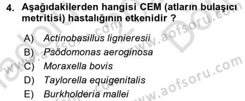 Veteriner Mikrobiyoloji ve Epidemiyoloji Dersi 2021 - 2022 Yılı (Final) Dönem Sonu Sınavı 4. Soru