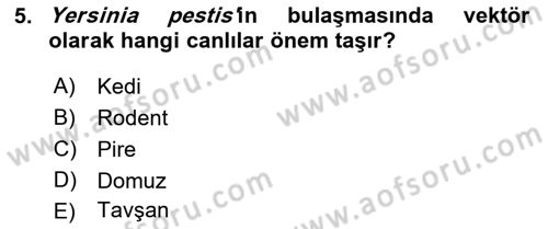 Veteriner Mikrobiyoloji ve Epidemiyoloji Dersi 2021 - 2022 Yılı (Final) Dönem Sonu Sınavı 5. Soru