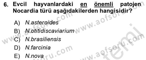 Veteriner Mikrobiyoloji ve Epidemiyoloji Dersi 2021 - 2022 Yılı (Final) Dönem Sonu Sınav Soruları 6. Soru