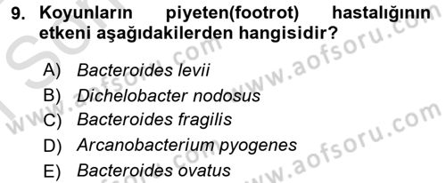 Veteriner Mikrobiyoloji ve Epidemiyoloji Dersi 2021 - 2022 Yılı (Final) Dönem Sonu Sınavı 9. Soru