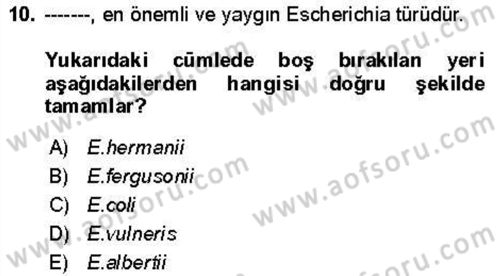 Veteriner Mikrobiyoloji ve Epidemiyoloji Dersi 2021 - 2022 Yılı Yaz Okulu Sınav Soruları 10. Soru