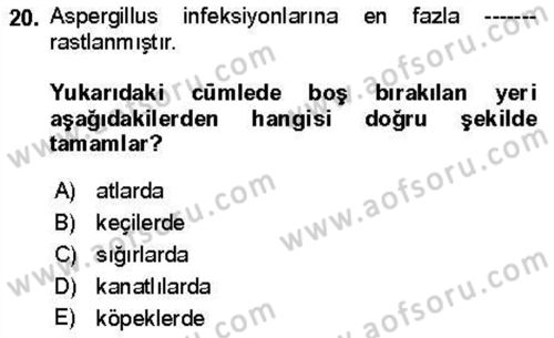 Veteriner Mikrobiyoloji ve Epidemiyoloji Dersi 2021 - 2022 Yılı Yaz Okulu Sınav Soruları 20. Soru